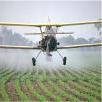 crop-dusting